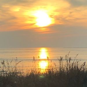 Meet your Posher, Leanne